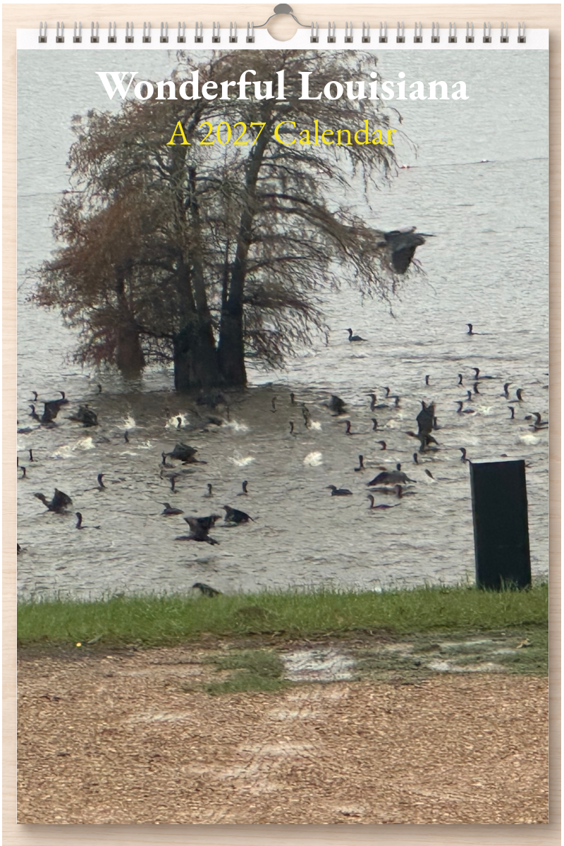 Wonderful Louisiana: A 2027 Calendar