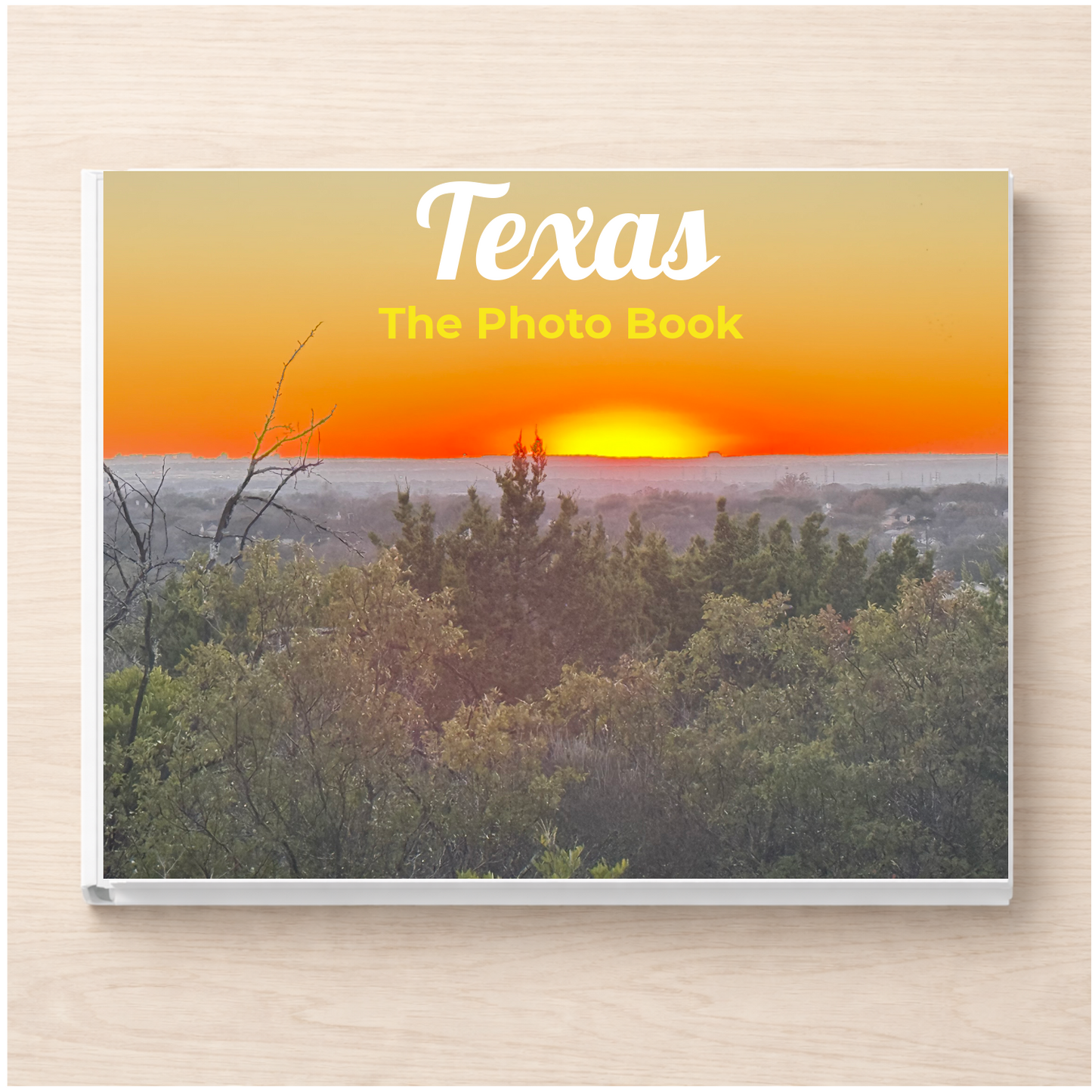 Texas: The Photo Book