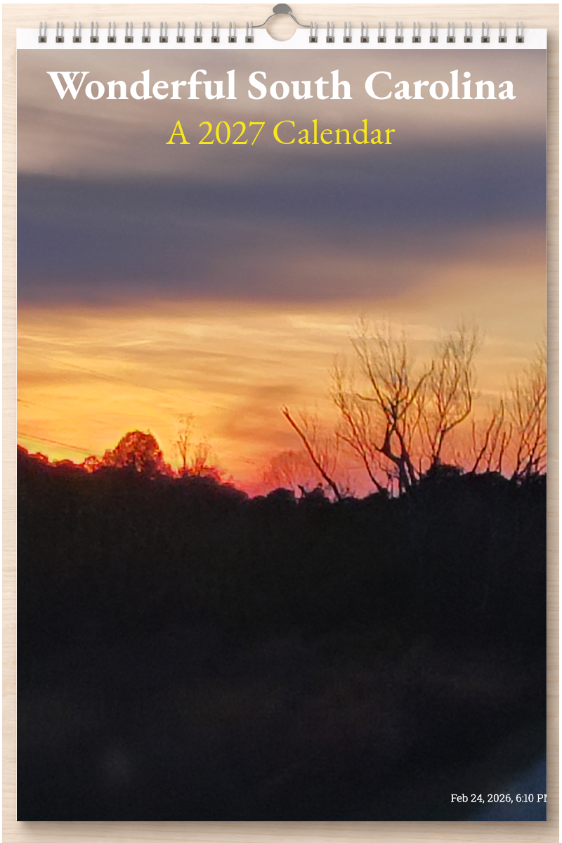 Wonderful South Carolina: A 2027 Calendar