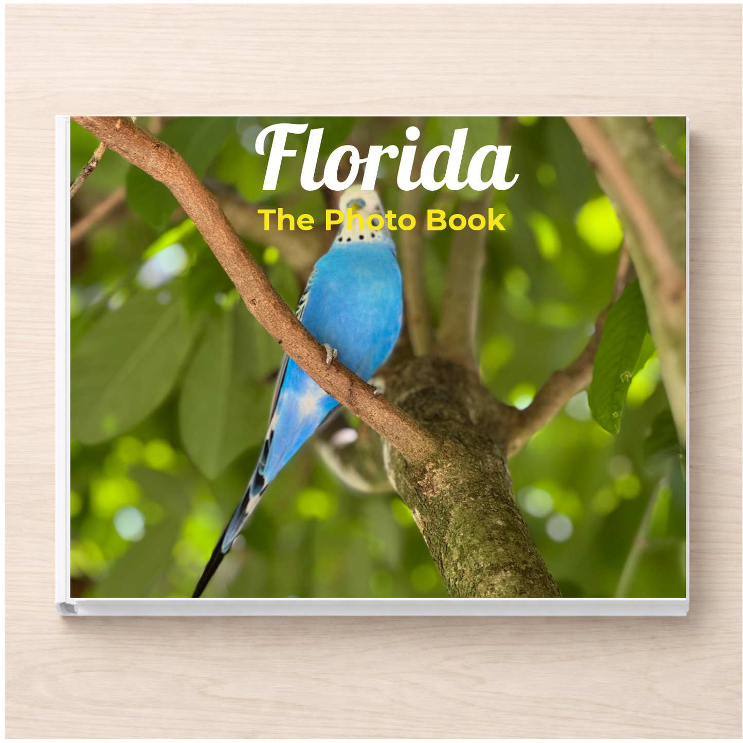 Florida: The Photo Book