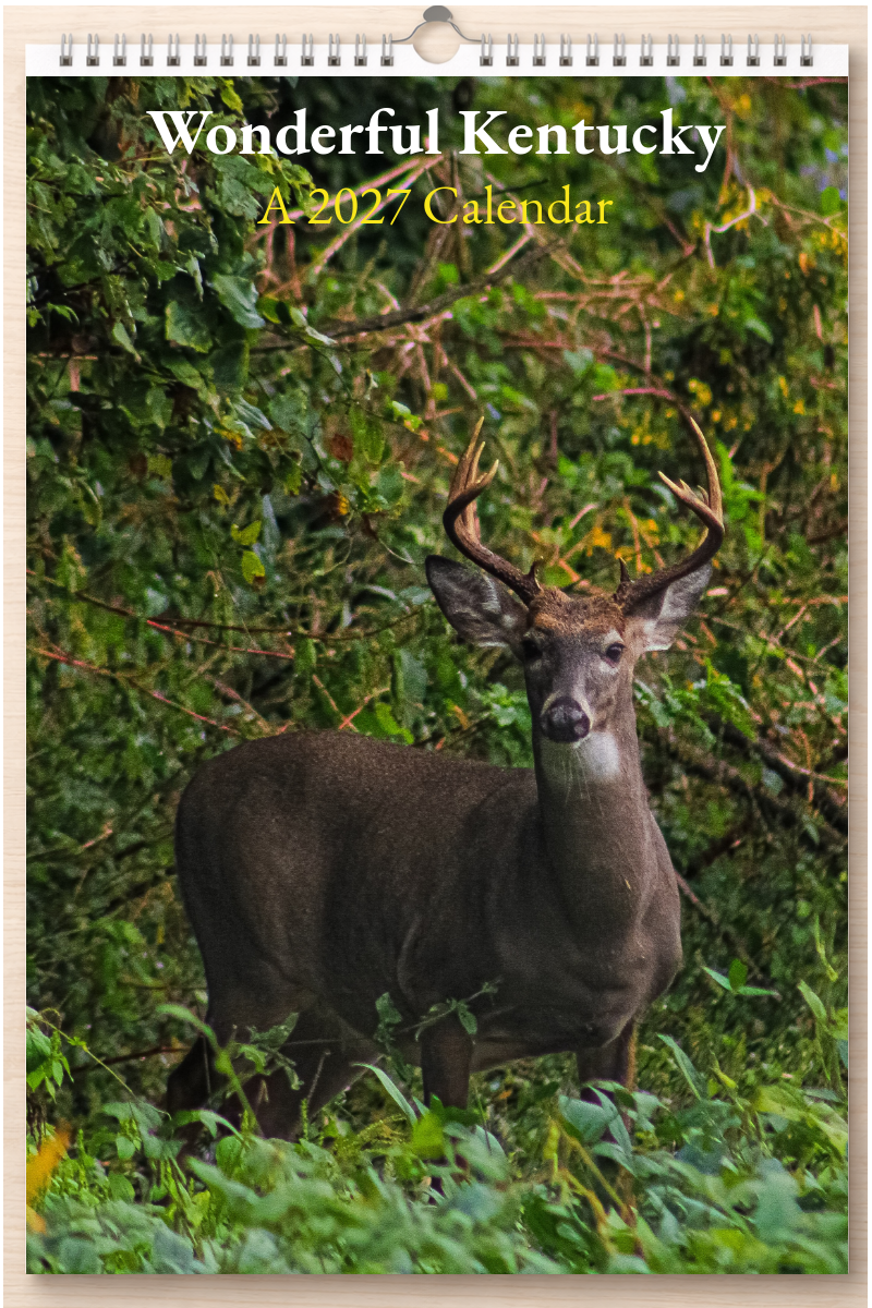 Wonderful Kentucky: A 2027 Calendar