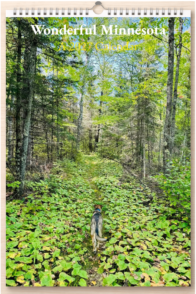 Wonderful Minnesota: A 2027 Calendar