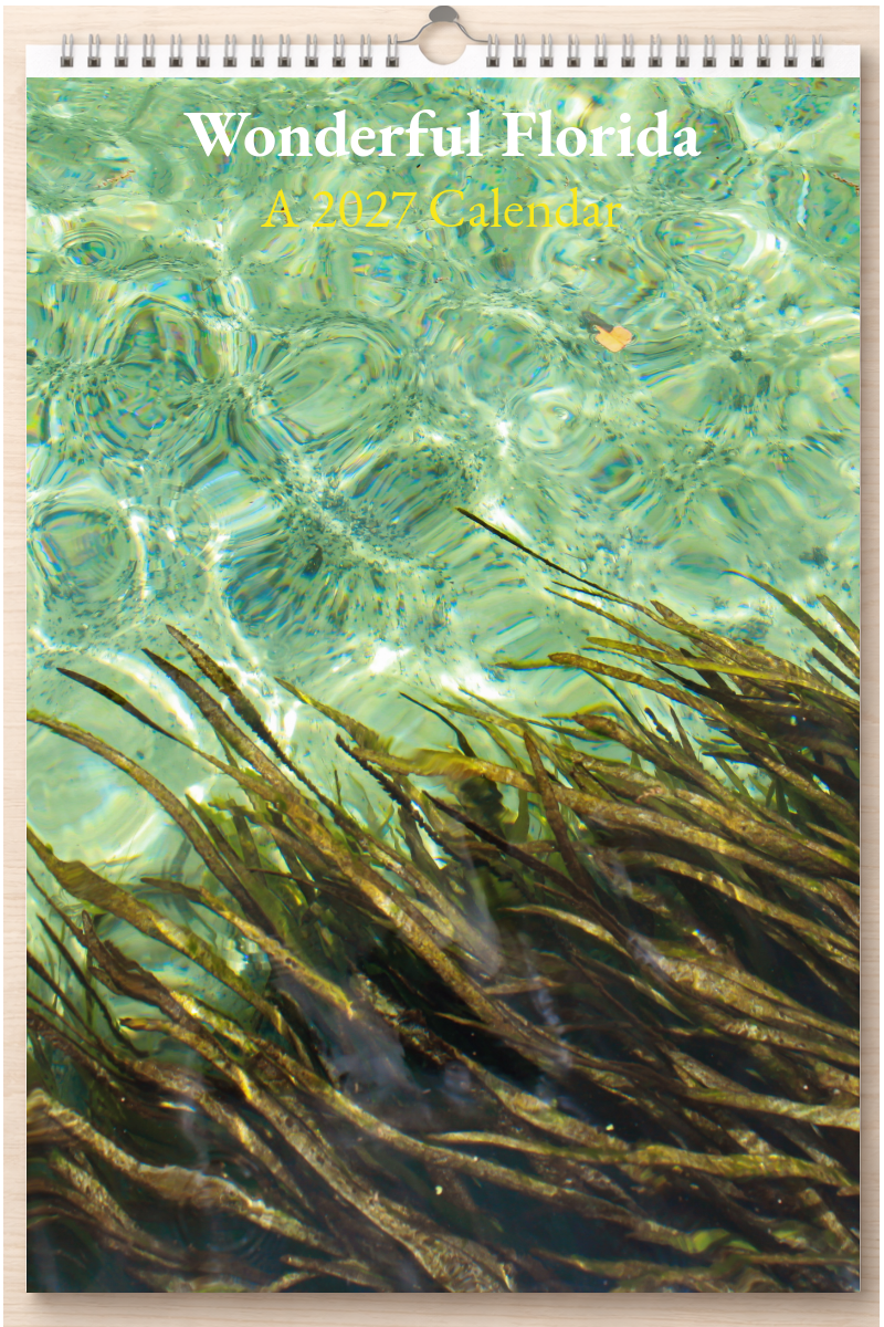Wonderful Florida: A 2027 Calendar
