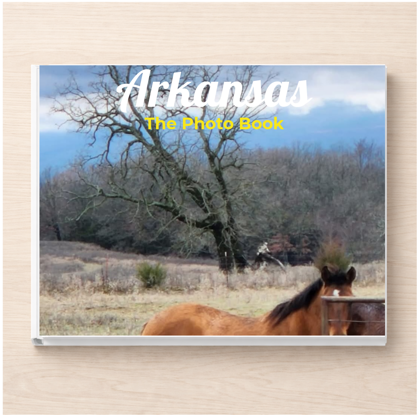 Arkansas: The Photo Book