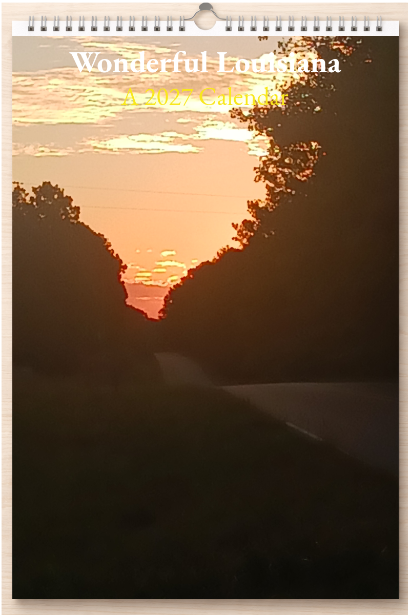 Wonderful Louisiana: A 2027 Calendar