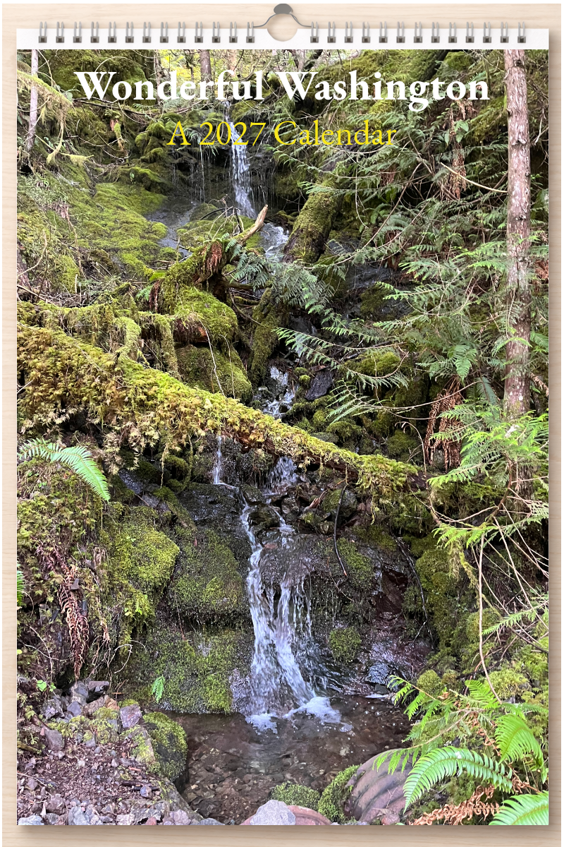 Wonderful Washington: A 2027 Calendar