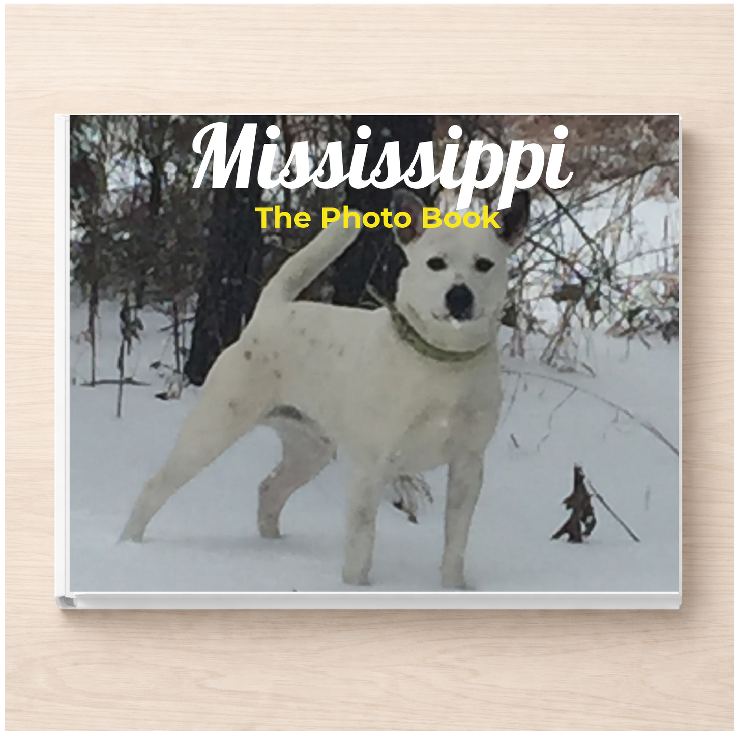 Mississippi: The Photo Book