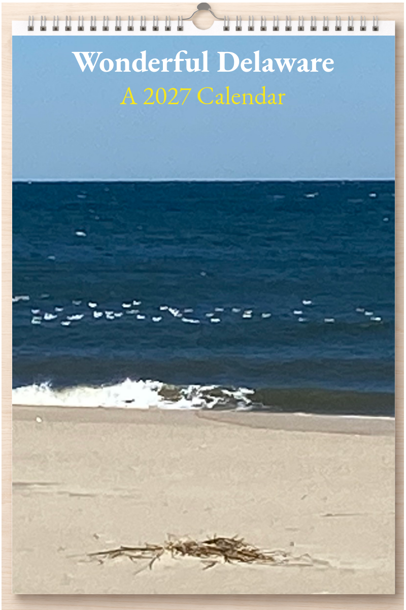Wonderful Delaware: A 2027 Calendar