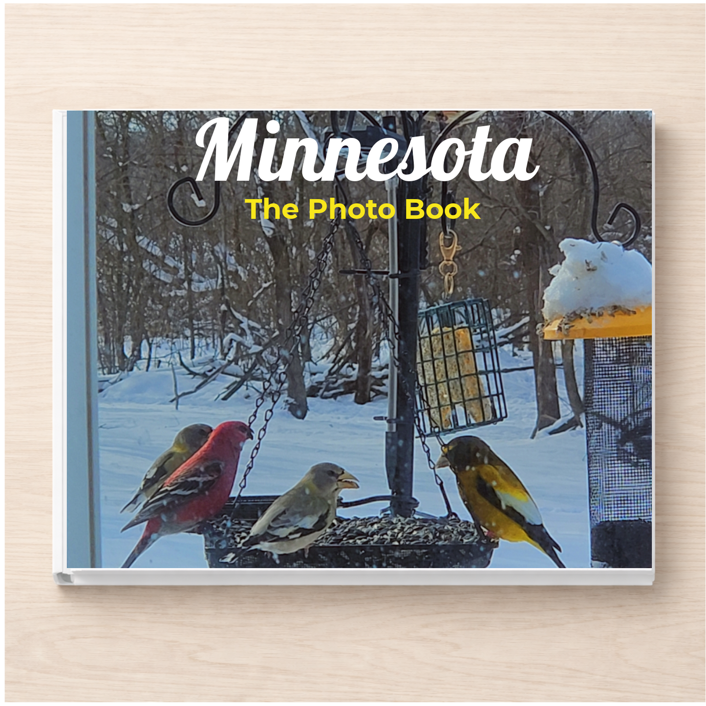 Minnesota: The Photo Book