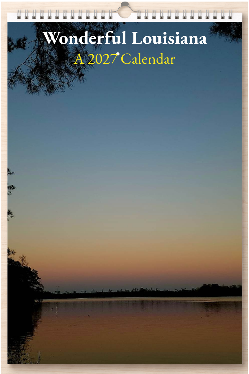Wonderful Louisiana: A 2027 Calendar