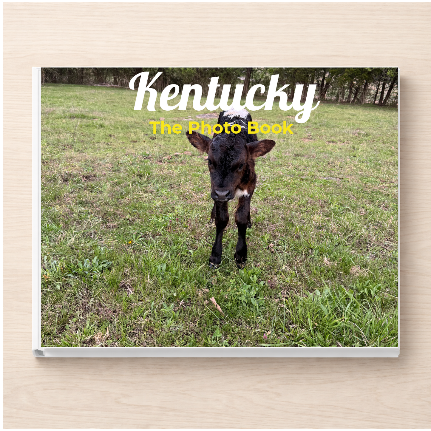 Kentucky: The Photo Book