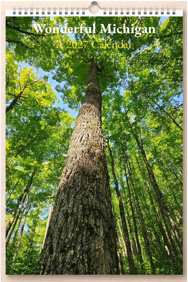 Wonderful Michigan: A 2027 Calendar