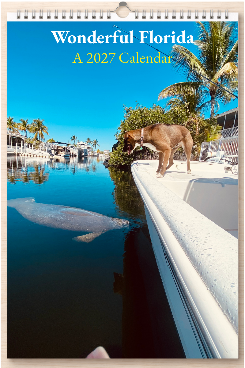 Wonderful Florida: A 2027 Calendar