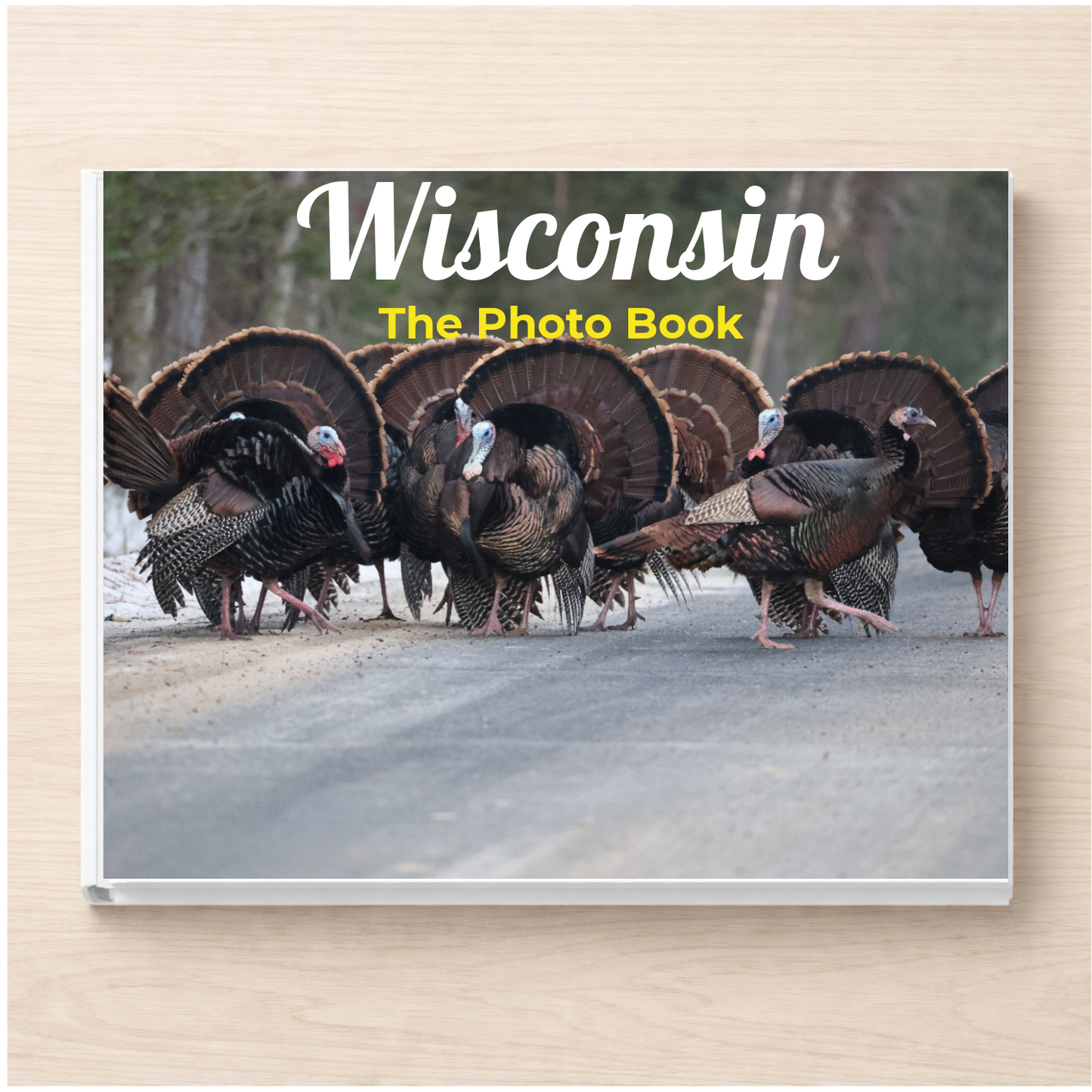 Wisconsin: The Photo Book