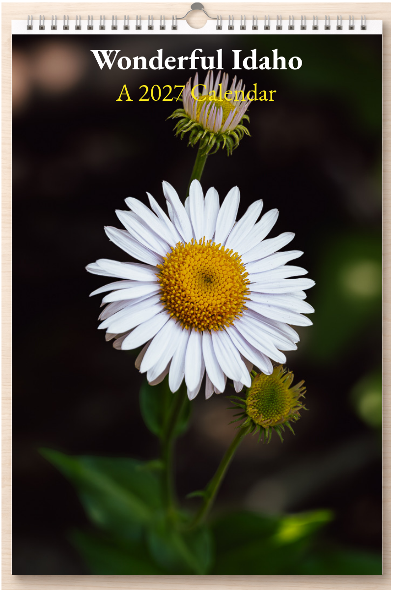 Wonderful Idaho: A 2027 Calendar