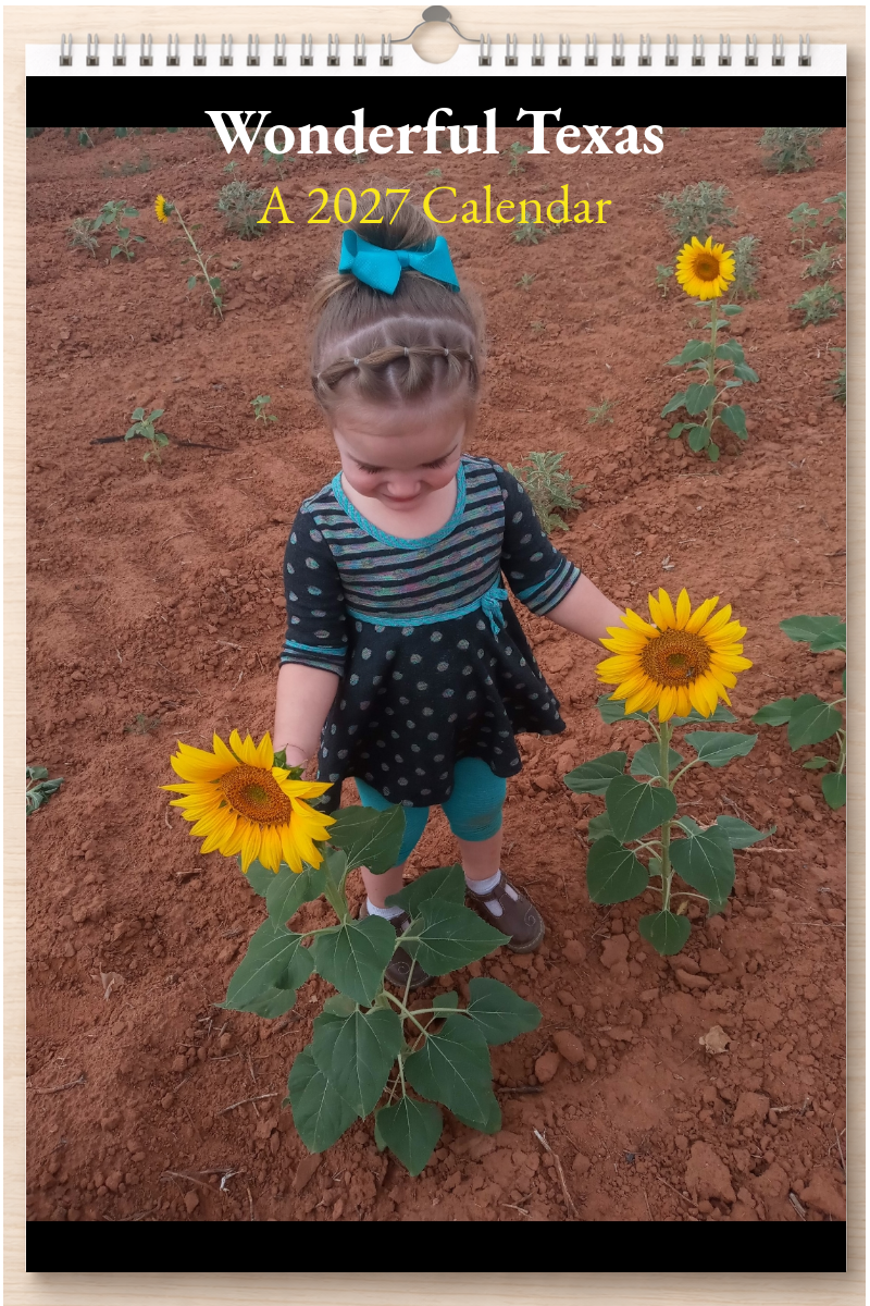 Wonderful Texas: A 2027 Calendar