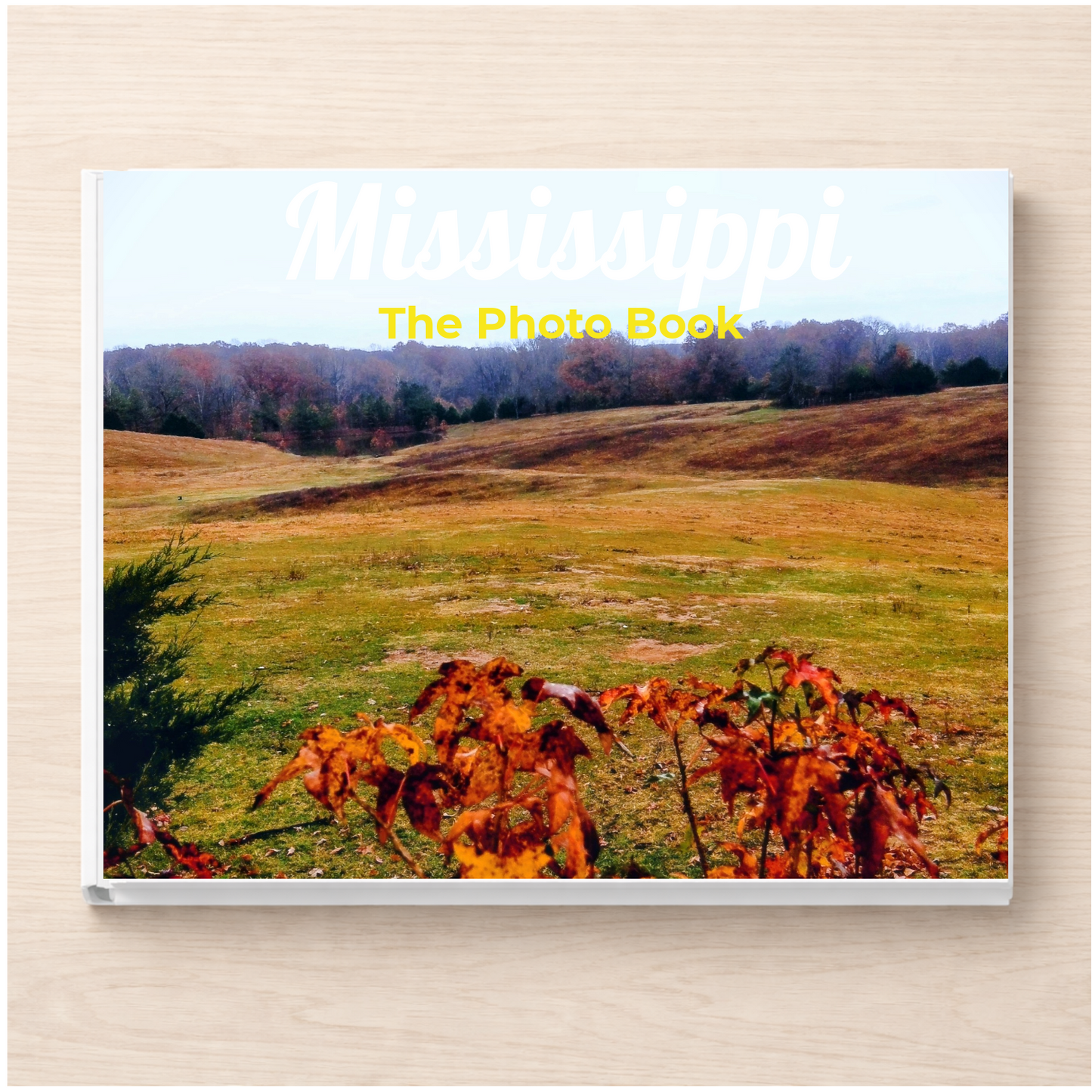 Mississippi: The Photo Book