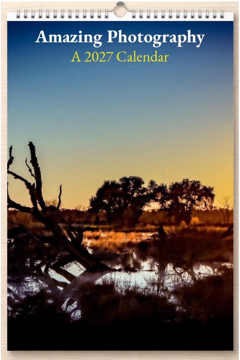 Amazing Photography: A 2027 Calendar