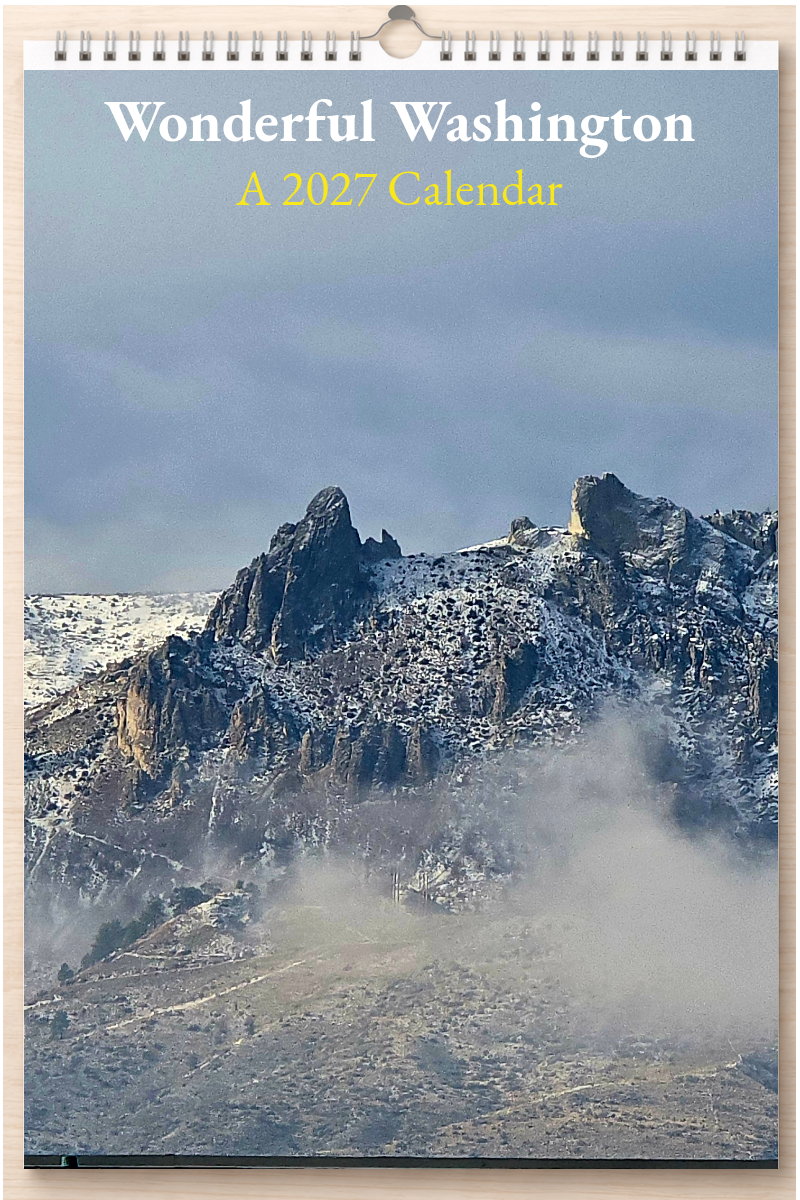 Wonderful Washington: A 2027 Calendar