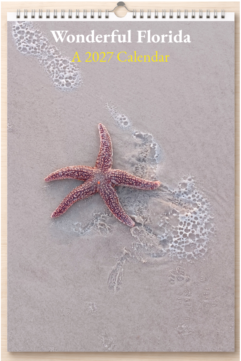 Wonderful Florida: A 2027 Calendar