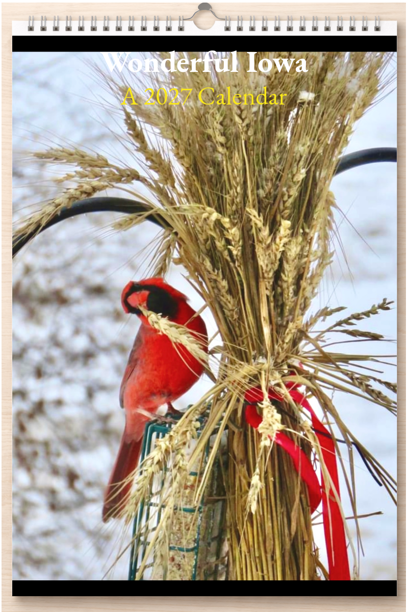Wonderful Iowa: A 2027 Calendar