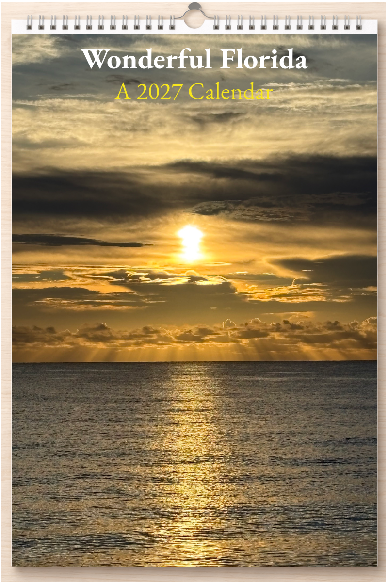 Wonderful Florida: A 2027 Calendar