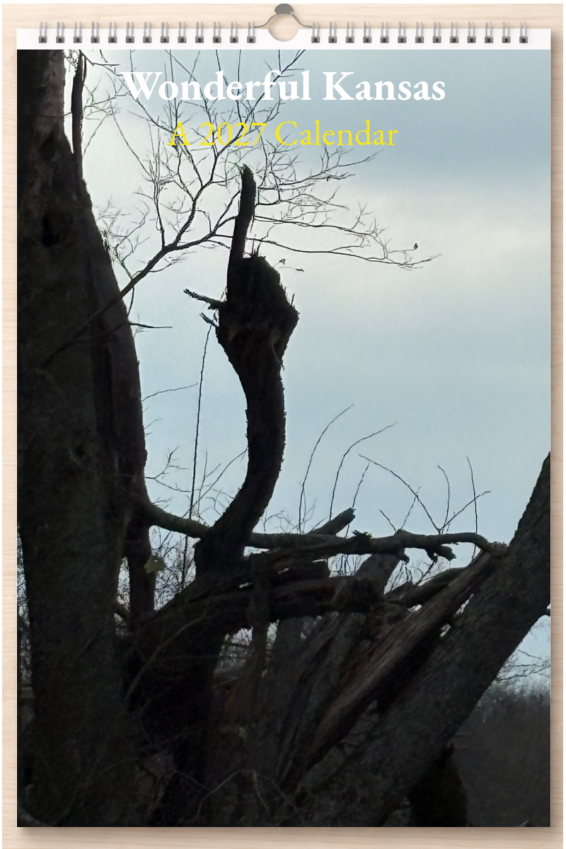 Wonderful Kansas: A 2027 Calendar
