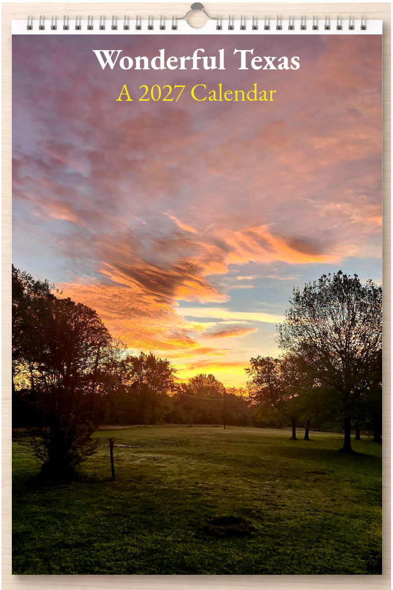 Wonderful Texas: A 2027 Calendar