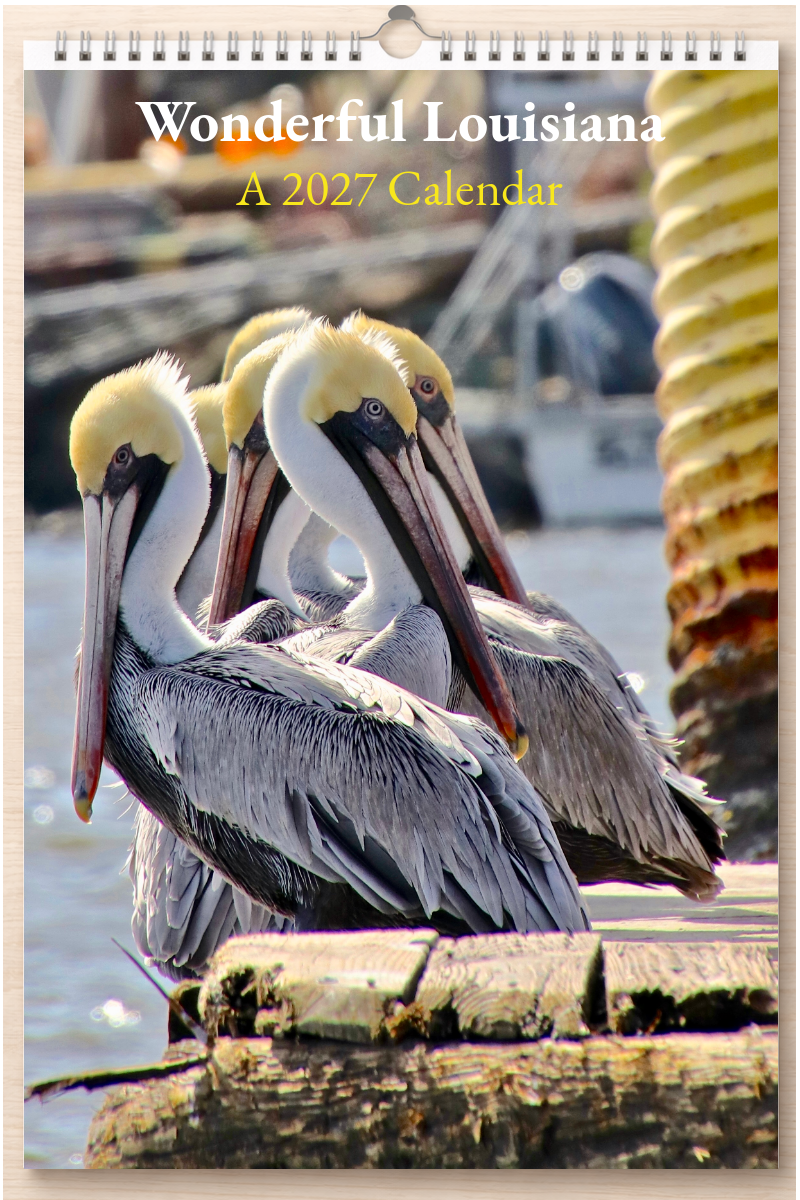 Wonderful Louisiana: A 2027 Calendar