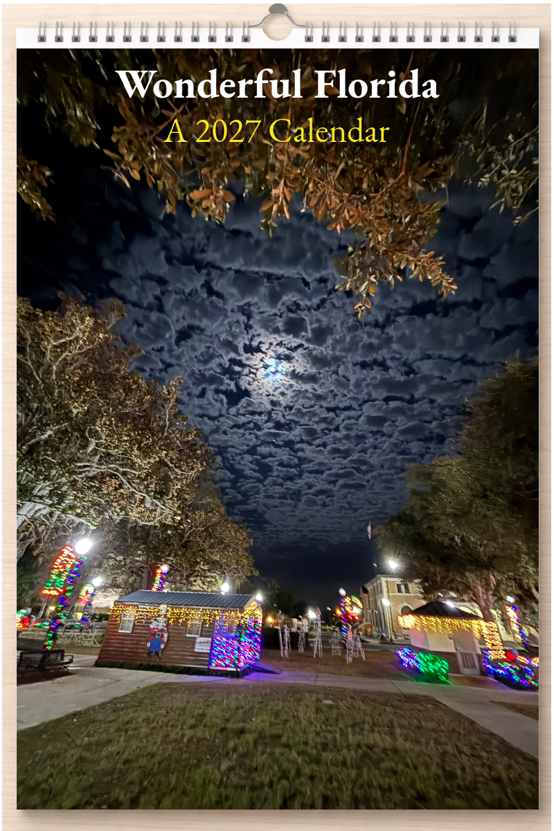 Wonderful Florida: A 2027 Calendar
