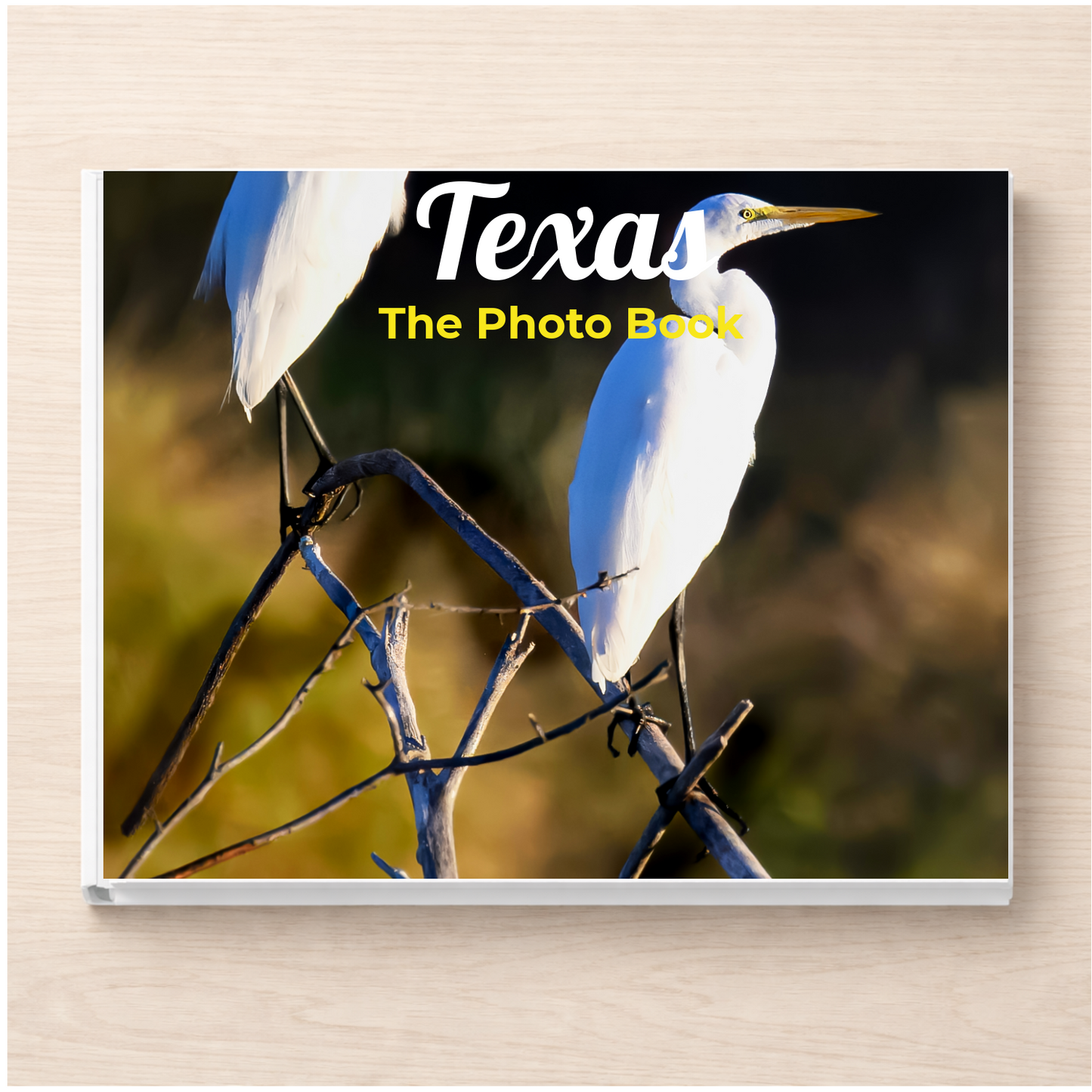Texas: The Photo Book