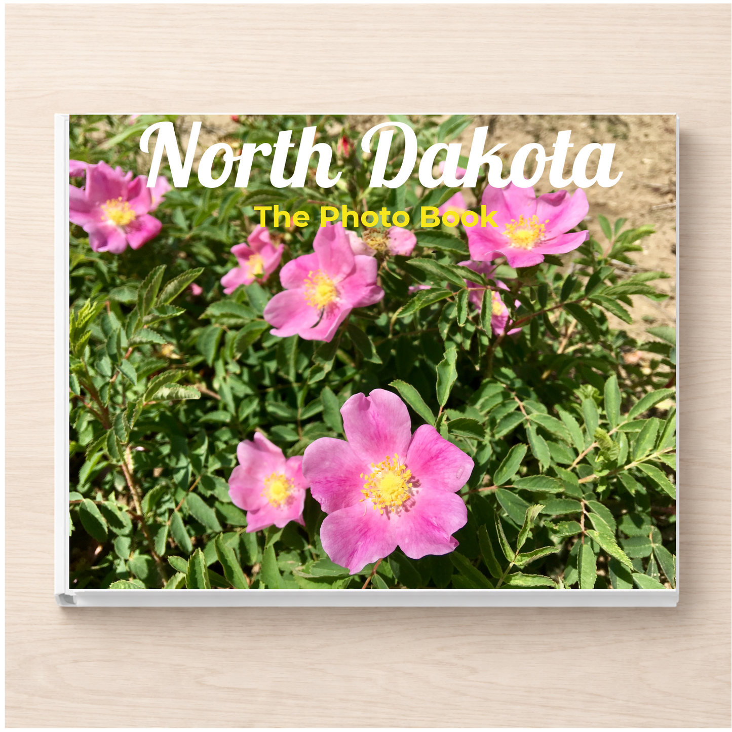 North Dakota: The Photo Book