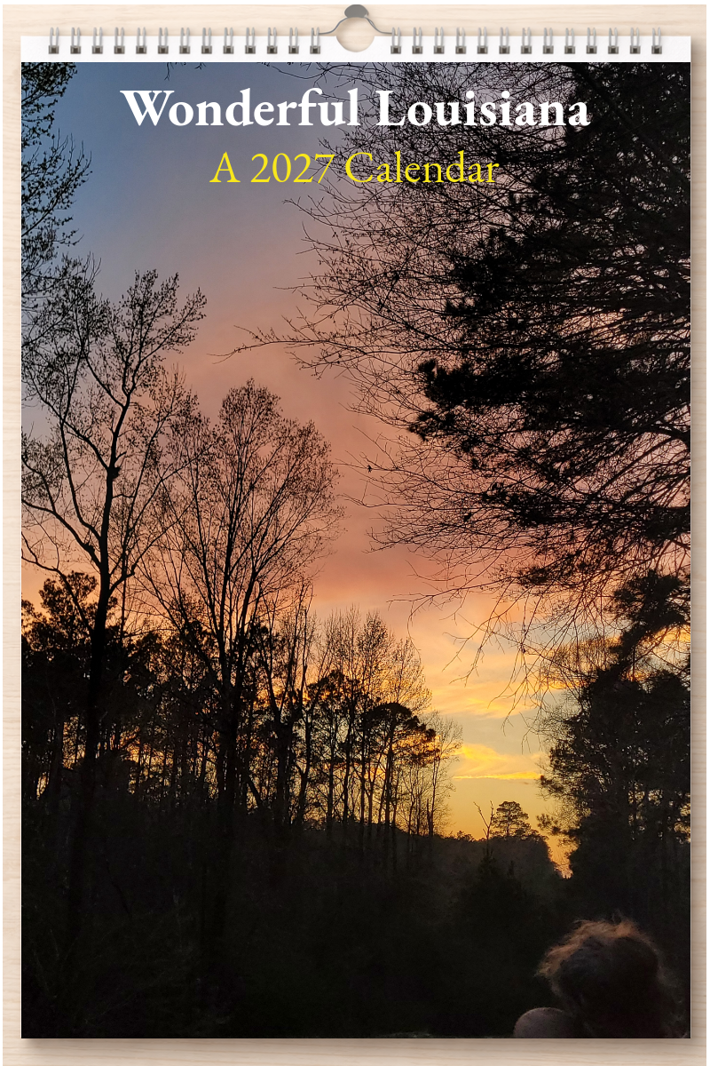 Wonderful Louisiana: A 2027 Calendar