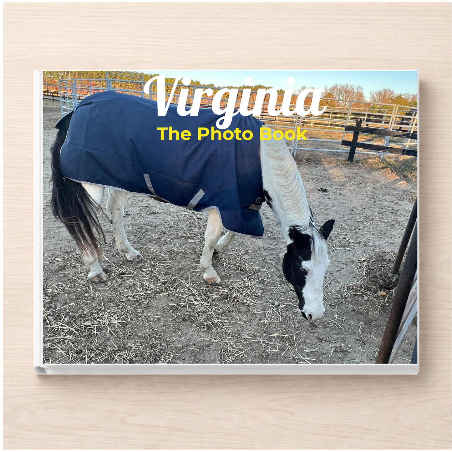 Virginia: The Photo Book