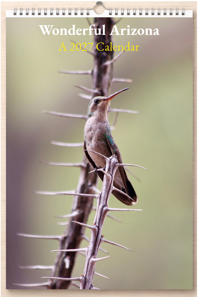 Wonderful Arizona: A 2027 Calendar