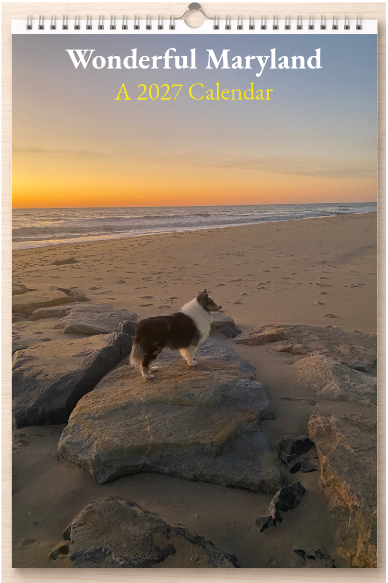 Wonderful Maryland: A 2027 Calendar