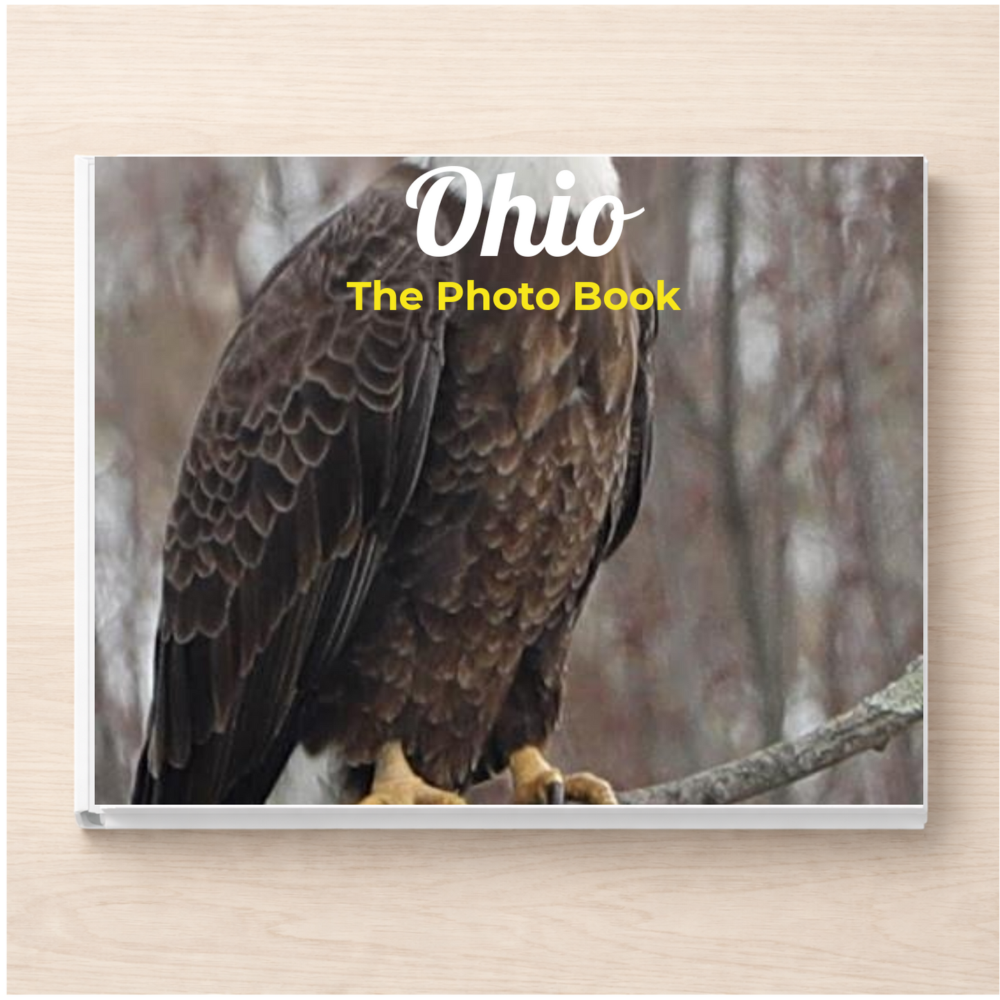 Ohio: The Photo Book