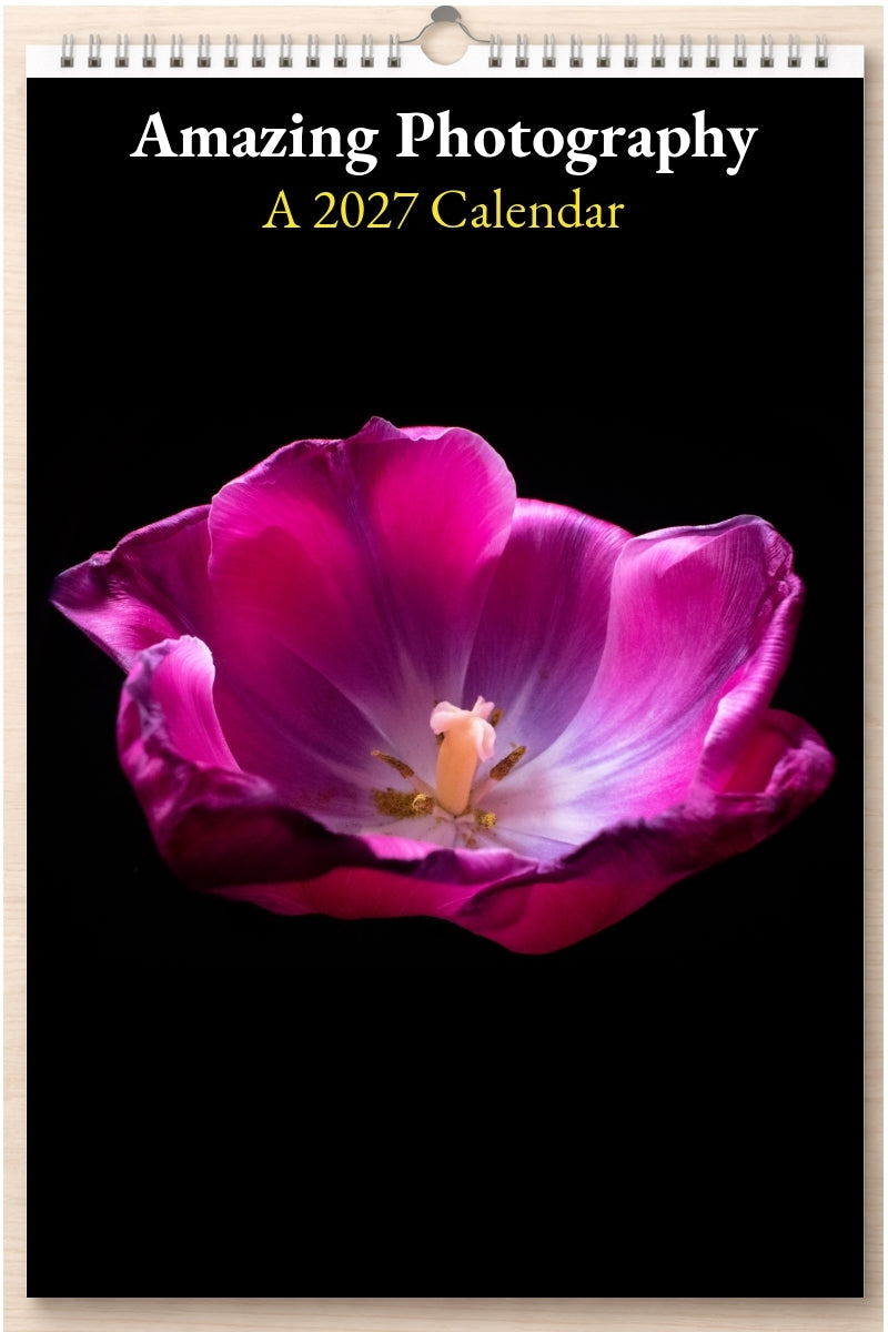 Amazing Photography: A 2027 Calendar
