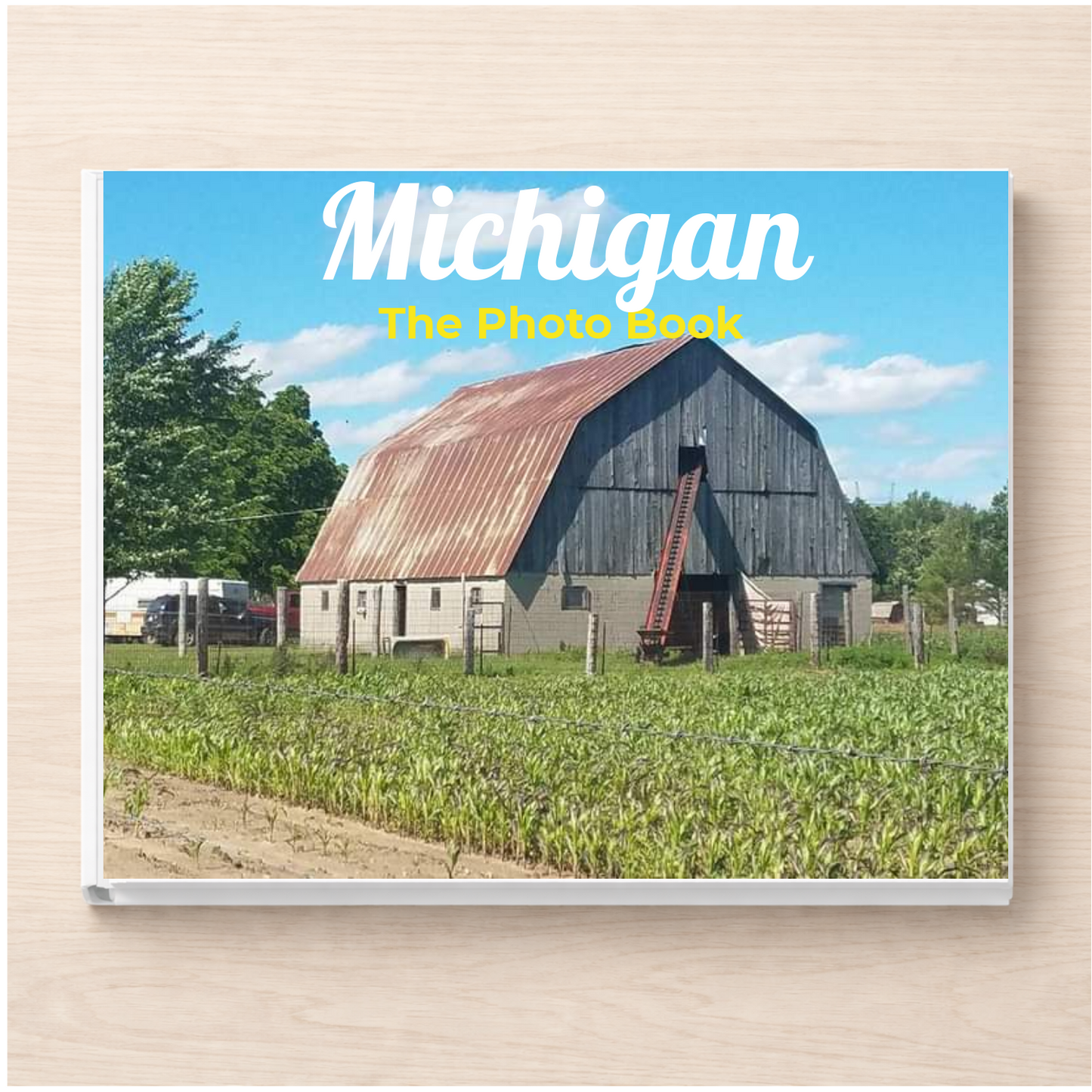 Michigan: The Photo Book