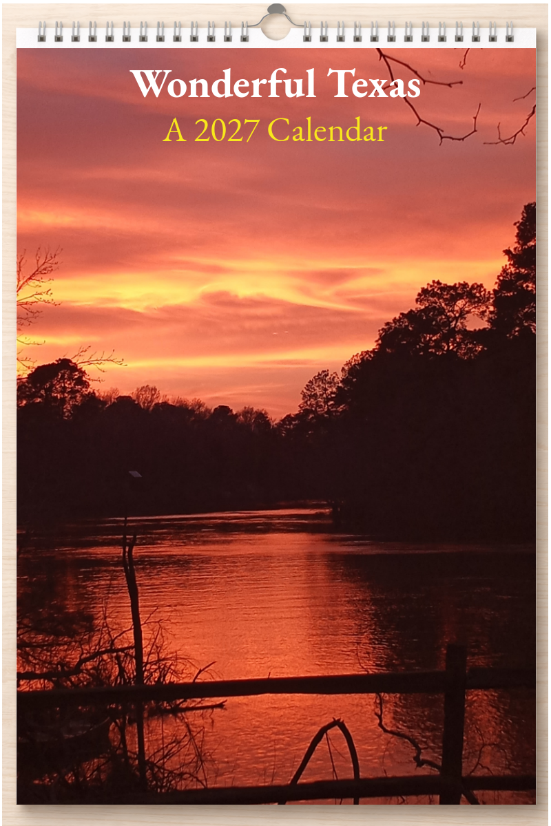 Wonderful Texas: A 2027 Calendar