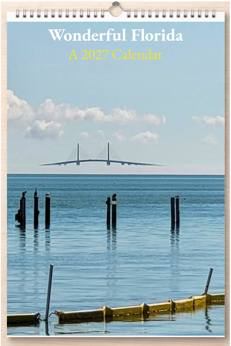Wonderful Florida: A 2027 Calendar