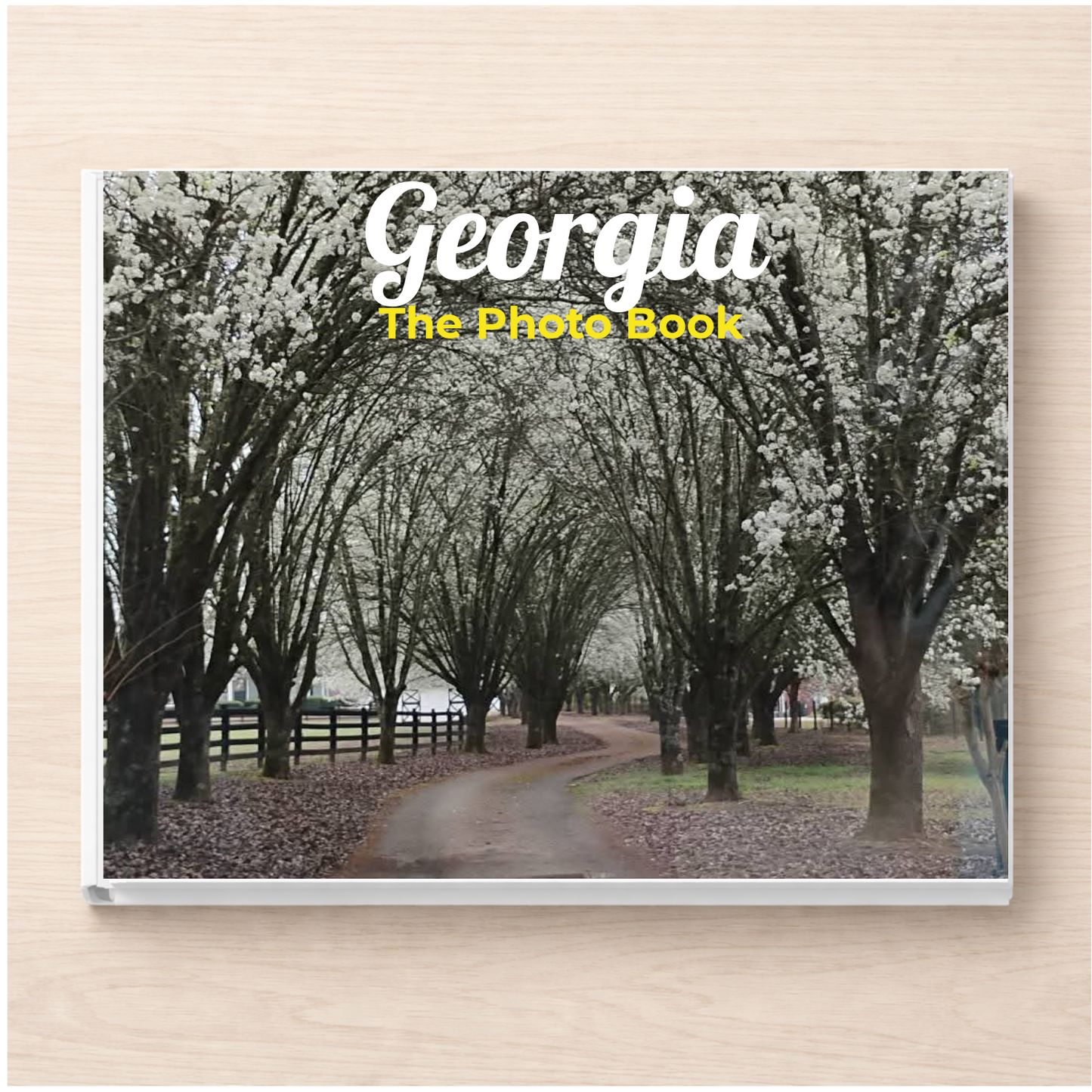 Georgia: The Photo Book