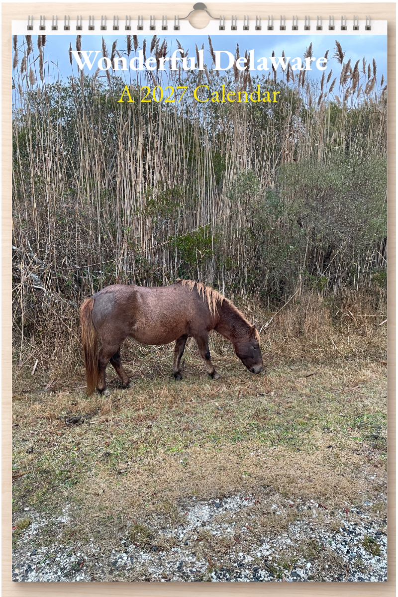 Wonderful Delaware: A 2027 Calendar