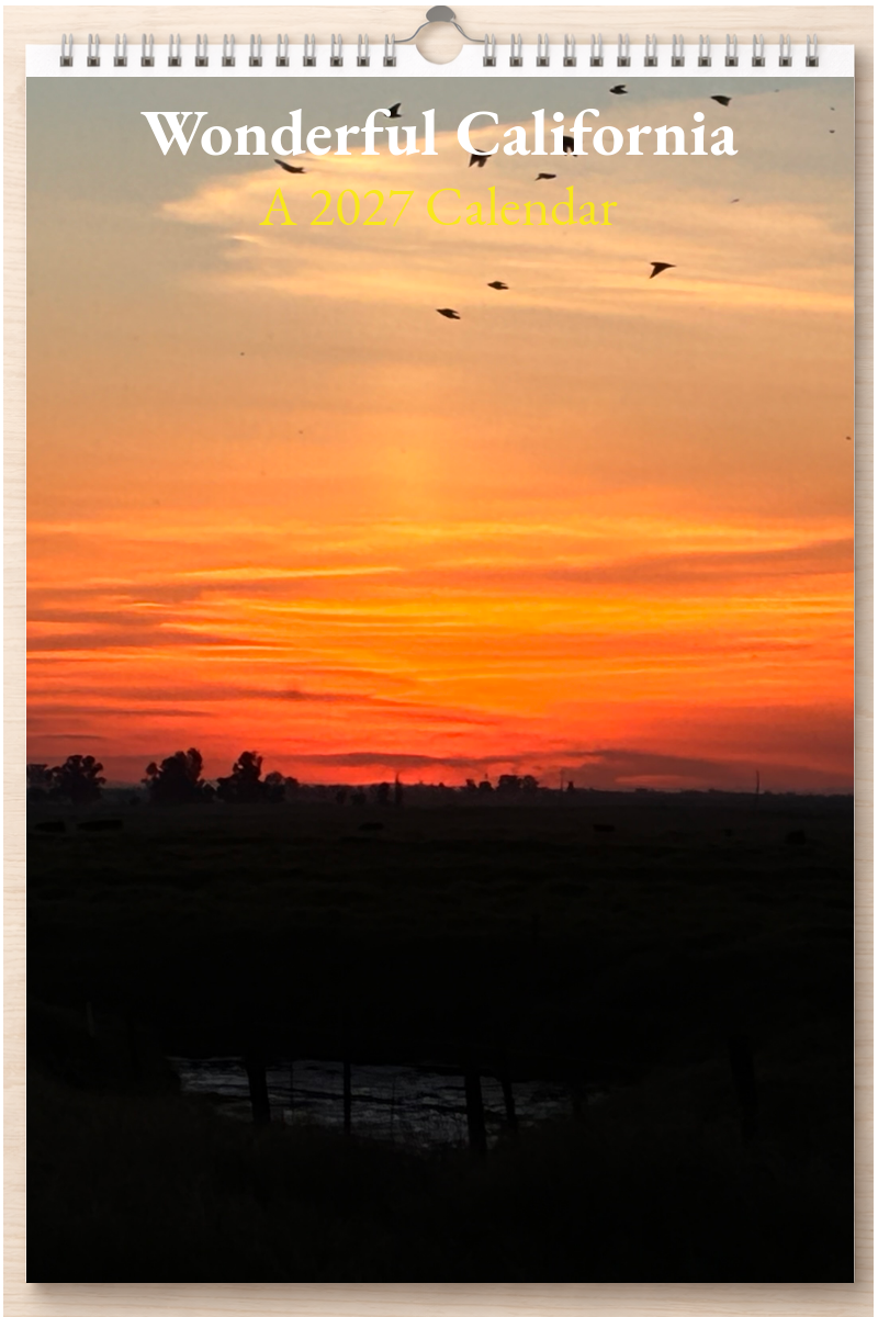 Wonderful California: A 2027 Calendar