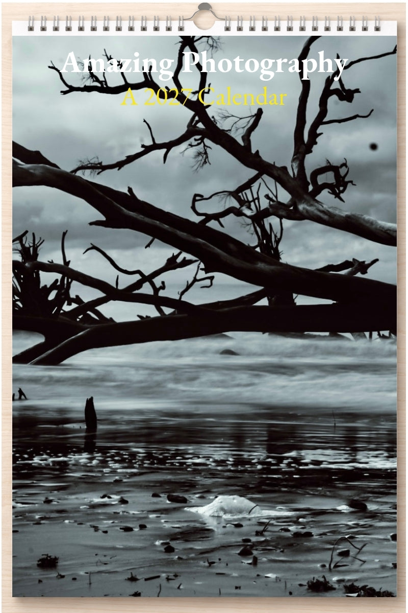 Amazing Photography: A 2027 Calendar