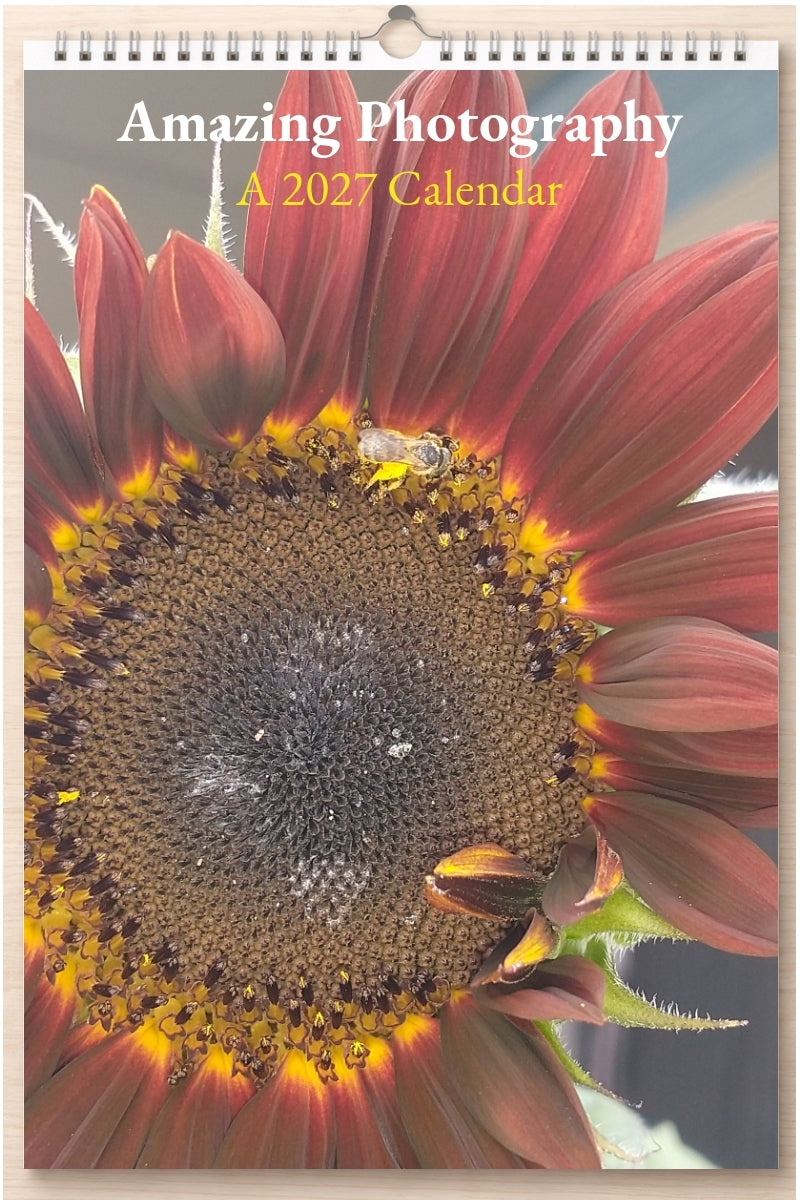 Amazing Photography: A 2027 Calendar