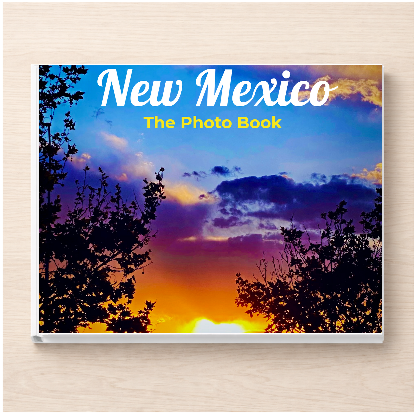 New Mexico: The Photo Book