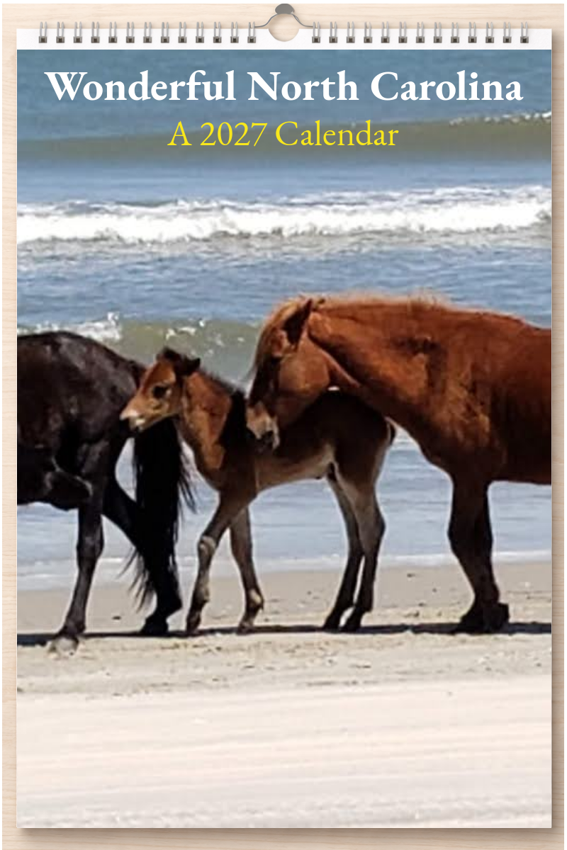 Wonderful North Carolina: A 2027 Calendar