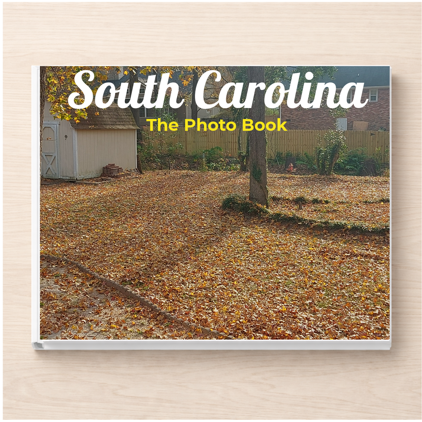 South Carolina: The Photo Book