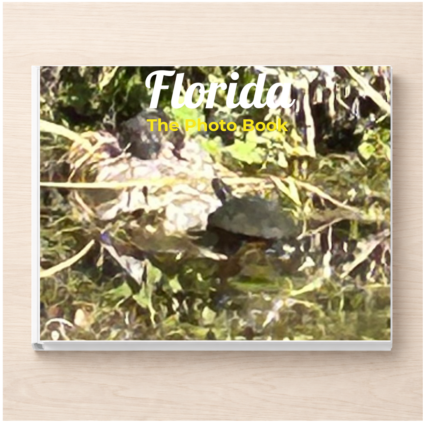 Florida: The Photo Book